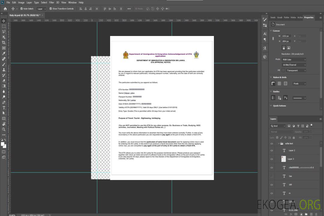 Visa électronique pour le SRI LANKA template